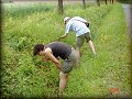 T�ko prostupn� jahodov� ter�n