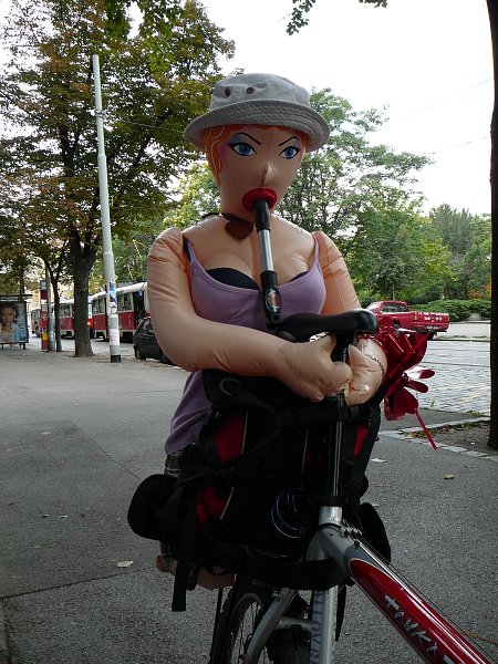 Je to krasavice k pohled�n�
